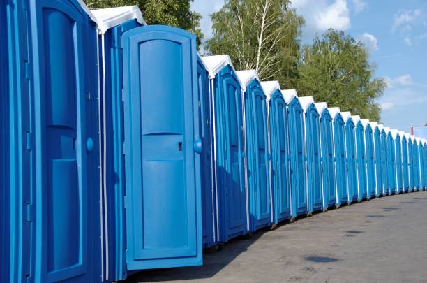 Best Sanitation services for porta potties  in Bridgeville, PA